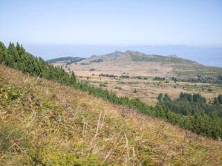 Fototapeta premium Autumn panorama of Vitosha Mountain, Bulgaria