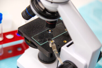 Tick in a test tube in the laboratory. Selective focus.