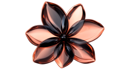 Elegant flower design with transparent background and details