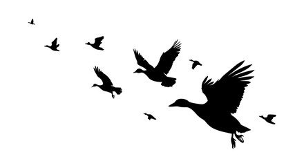A flock of ducks flying. hand drawing. Not AI. Vector illustration