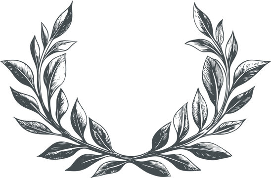 Hand drawn laurel wreath illustration with detailed black and white leaves. Vector illustration