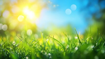 Obraz premium Vibrant spring meadow with lush green grass and a clear blue sky in a nature background