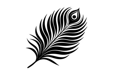 Obraz premium black and white feather