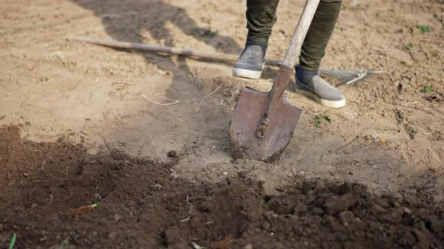 Unrecognized person is digging the ground. Farmer works in the garden in spring.