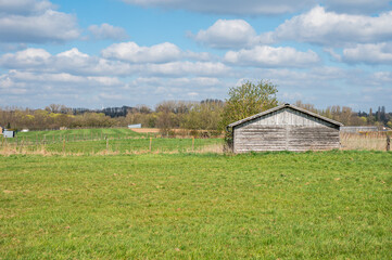Obraz premium Cultivated green meadows at the Flemish countryside in Ternat, Belgium