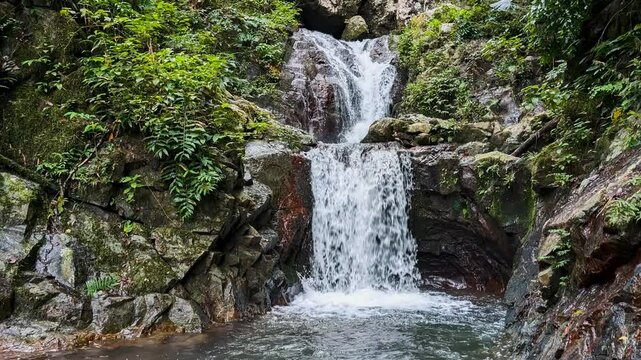 The Orchid Falls cascading on rocks in a lush green forest during daytime in Nadi, Fiji
