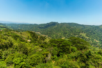 Stunning Mountain Views in Sri Lanka