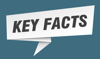 key facts banner. key facts speech bubble, label, sticker, sign template