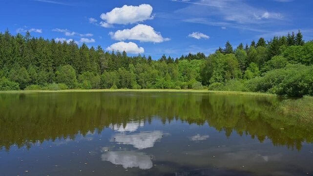 M&uuml;lbenersee, See, Wald, Wolken Himmel, Sommer, M&uuml;lben, Waldbrunn, Neckar Odenwald Kreis, Baden-W&uuml;rttemberg
