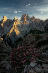 Cadini di Misurina mountain ridge. Beautiful sunset with clouds in Dolomites mountains. Epic mountain, colorful flowers, rocks, forest. Premium landscape from pure nature, Dolomiti, Alps, Italy