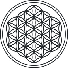 Intricate black and white geometric mandala design featuring interconnected circular patterns in symmetry.