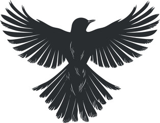Obraz premium Silhouette of a bird with spread wings in flight, resembling a raven or crow.