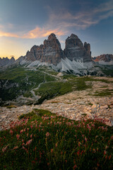Tre Cime di Lavaredo, Drei Zinnen. Beautiful sunset with clouds in Dolomites mountains. Epic mountain, colorful flowers, rocks, forest. Premium landscape from pure nature, Dolomiti, Alps, Italy