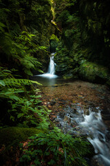 Nýznerovské vodopády. Beautiful misty waterfall after rain in Jeseníky mountains. Epic river, green forest, stones, rocks, flowers, leaves. Premium landscape from pure nature, Czech Republic