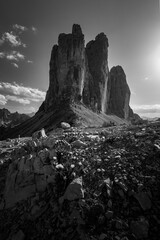 Tre Cime di Lavaredo, Drei Zinnen. Beautiful sunset with clouds in Dolomites mountains. Epic mountain, colorful flowers, rocks, forest. Premium landscape from pure nature, Dolomiti, Alps, Italy