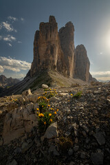 Tre Cime di Lavaredo, Drei Zinnen. Beautiful sunset with clouds in Dolomites mountains. Epic mountain, colorful flowers, rocks, forest. Premium landscape from pure nature, Dolomiti, Alps, Italy