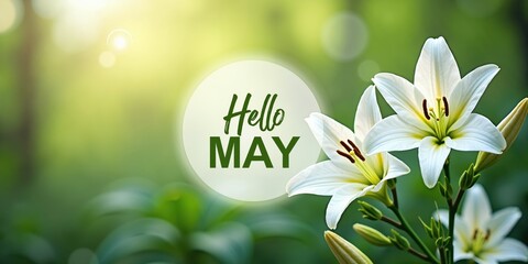 hello may wallpaper
