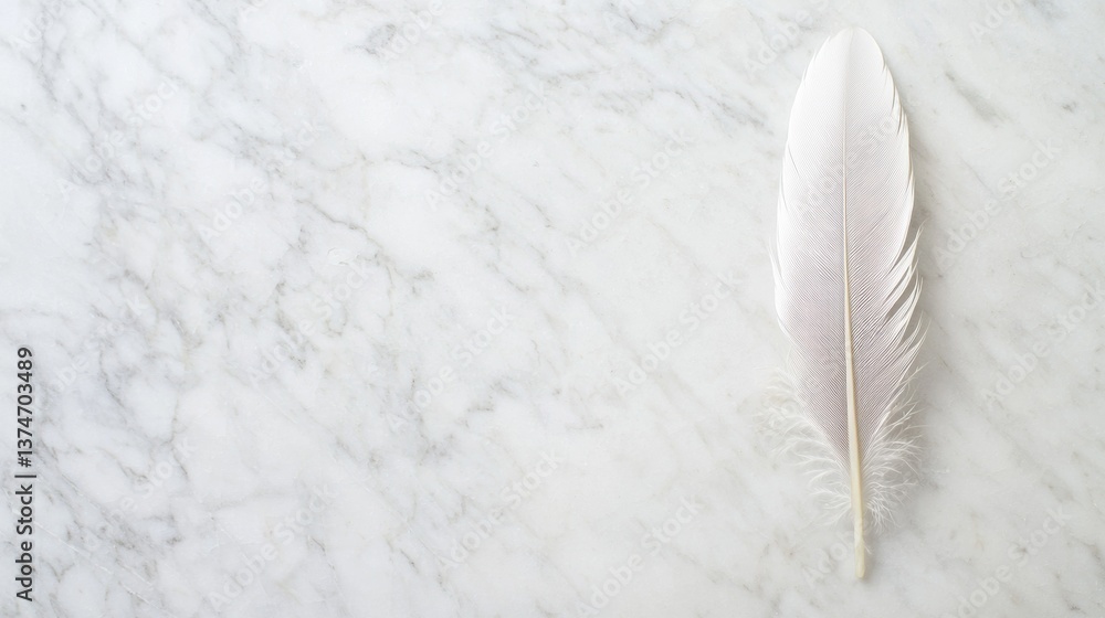 Aufkleber flat lay of a white feather on a white marble surface. the feather is in the center of the image and