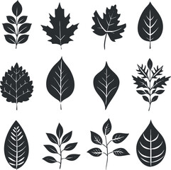 Collection of black leaf silhouettes in various shapes, ideal for botanical illustrations and design.