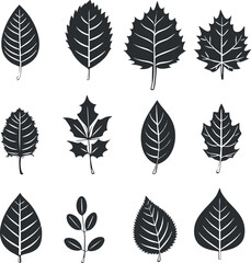 Vector illustration of various black leaf silhouettes in a pattern on a white background.