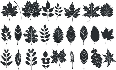 Collection of various leaf silhouettes in black and white, showcasing different botanical shapes.