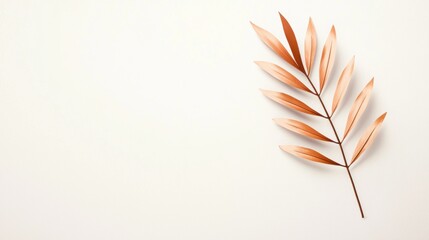 Flat lay of a single leaf on a white background. the leaf is made up of multiple thin, pointed leaves that are arranged in a fan-like pattern.