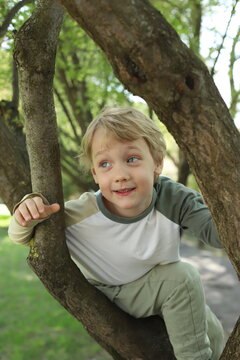 little boy sitting on tree