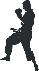 Silhouette of a martial artist in a karate pose, showcasing skill and discipline.