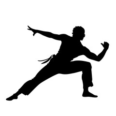 Capoeira Silhouette: A powerful silhouette of a capoeira practitioner in motion, showcasing the grace and agility of this dynamic martial art.