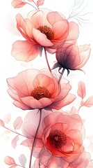 Delicate Translucent Pink Flowers with Soft Petals on a Light Background

