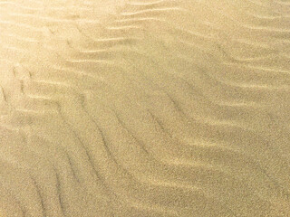 Background with sand waves on the beach close-up. Sand dunes on a sunny summer day.