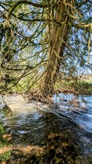 LACHAPELLE-SOUS-GERBEROY (Oise)