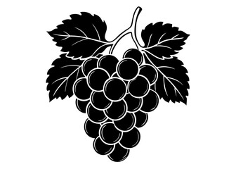 Obraz premium Ripe bunch of purple grapes on a vine with green leaves and a fresh, autumn feel