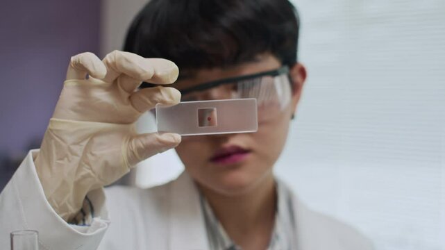 Tilt shot of female hand in latex glove taking rectangular slide with blood sample from plastic container, Asian scientist looking at it carefully