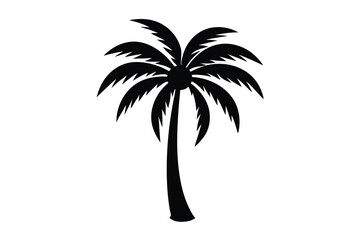 palm trees silhouette
