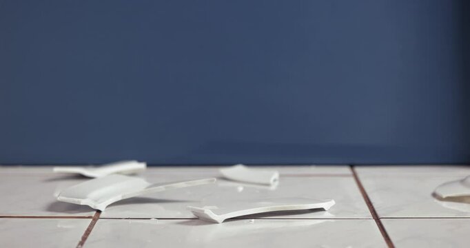 Plate hitting the ground, breaking