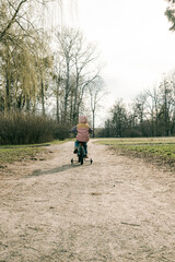 Obraz premium Little girl cycling on path in spring park