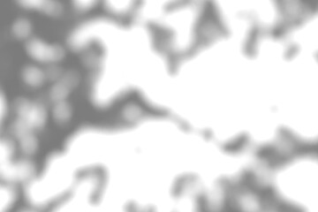 Tree branch shadow. Tree leaves shadow overlay. Summer sunlight trough the leaves. Nature organic shadow. Blurred Leaf shadow and light on wall background. 3d rendering