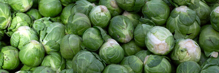 Fototapeta premium Closeup of fresh raw Brussels sprouts on a greengrocer stall at a farmers market