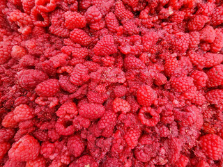 Close Up View of Fresh Red Raspberries with Textured Surfaces