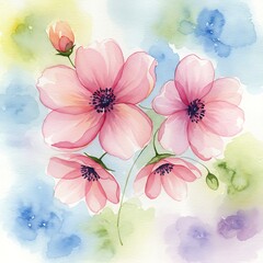 Delicate Pink Anemone Flowers with Soft Blue Watercolor Background