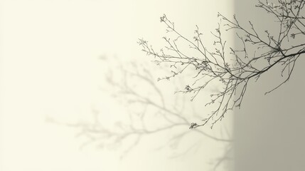 Fototapeta premium Winter's Embrace A Branch Shadow Dance Against a Pale Wall in Background Minimalist Serenity and Ethereal Beauty Capturing the Essence of Nature's Delicate Touch