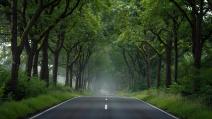 Fototapeta premium Lush green highway winding through a forest with mist and wildflowers – Perfect for serene landscapes, nature, or road trip content.