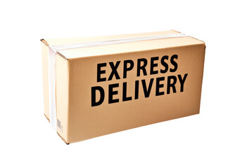 Express delivery service concept Illustration of package and shipping logistics