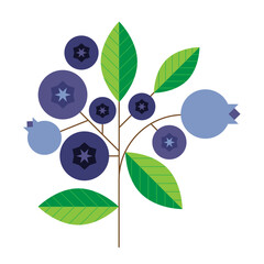 Blueberries on bush mid century modern 