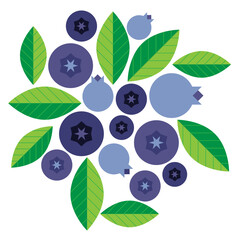 Blueberries mid century modern design 