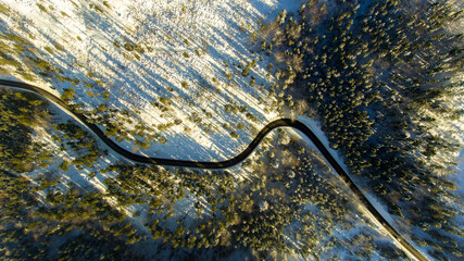 Kręta droga przecinająca las w zimowym świetle – dynamiczna kompozycja    © Kacper