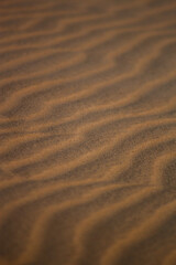 Textura Areia Praia Bege Grãos Suavidade Ondas Padrão Natural Detalhe Microscópico Superfície Tato Quente Fino Uniforme Deserto Erosão Marrom