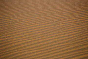 Textura Areia Praia Bege Grãos Suavidade Ondas Padrão Natural Detalhe Microscópico Superfície Tato Quente Fino Uniforme Deserto Erosão Marrom