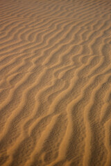 Textura Areia Praia Bege Grãos Suavidade Ondas Padrão Natural Detalhe Microscópico Superfície Tato Quente Fino Uniforme Deserto Erosão Marrom